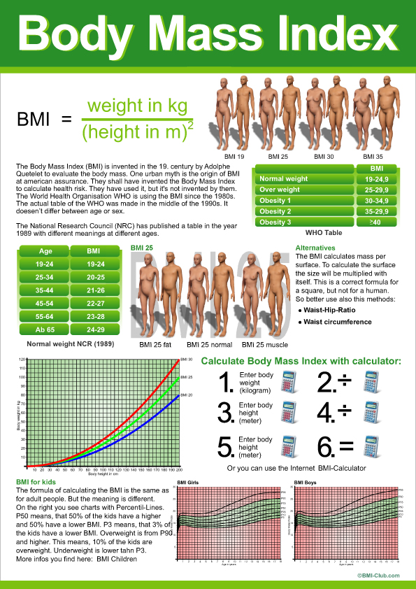 BMI Fact Sheet